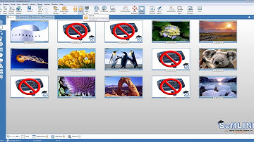 SoftLINK: Brief Introduction to Student Monitoring and Collaboration Software