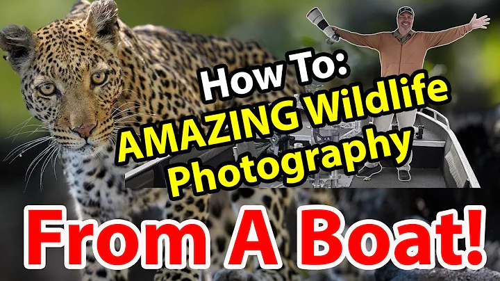 Pro Secrets: How To Capture AMAZING Wildlife Photos From A Boat - My BEST Tips & Tricks!