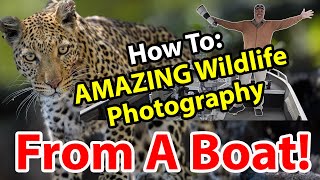 AMAZING Wildlife Photos From A Boat - My BEST Tips & Tricks! AMAZING Wildlife Photos From A Boat - My BEST Tips & Tricks!
