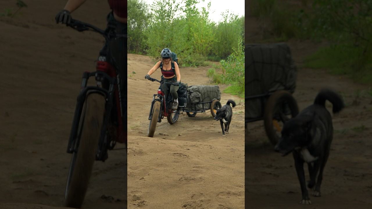I Took THIS Huge Tent Camping by E-Bike… 😳⛺️ #camping #survival #bushcraft #outdoors