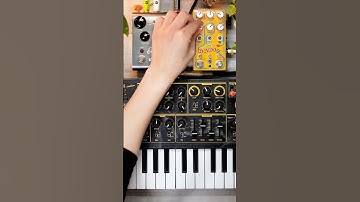 Arturia MicroBrute + Chase Bliss Habit + Strymon  El Capistan｜Ambient, Soundscape, Dawless　#shorts