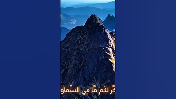 سورة لقمان و.كا..نك تسمعها لأو.ل مر..ة 💓. 🌺💔. 🌸بصوت الشيخ حمزة مد.بو.ح 💕🍃. 💖. ❤️🌺
