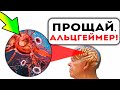 Даже 1 минута в день избавит от Слабоумия! Склероз сосудов, Альцгеймер, память, работа мозга и даже