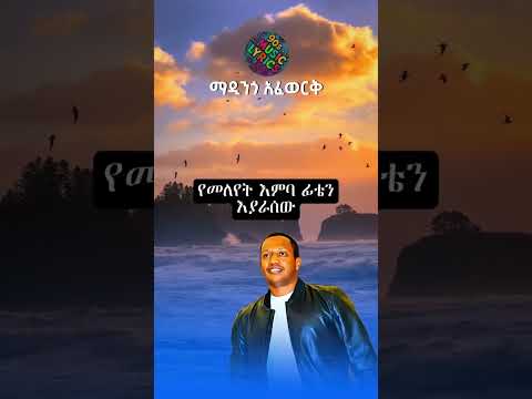 Madingo Afework Music Habash Musiclyrics Duet Songlyrics ከተለያየን Lyrics