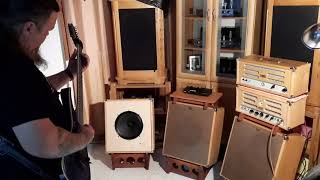 Famous SE pentode tube guitar amplifier Wealth