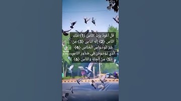 قل أعوذ برب الناس 💗حالات واتس اب قرآن كريم