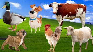 All animal sounds in the world
