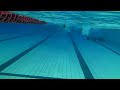 [Kosuke Hagino] Freestyle Easy Swim * UW Front View (Nov/2014)