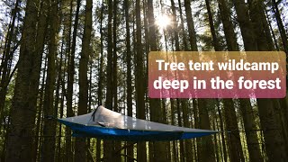 Wild camping Scotland. Tentsile tree tent camp in a pine forest. Outdoors and adventure.