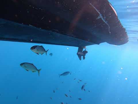 ricciolette esibizioniste sotto il gommone