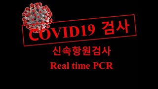 코로나19검사 이해하기 (신속 항원검사 / Real time PCR)