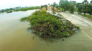 Remove Floating Plants Flow Clogged On Massive Dam Drain Water