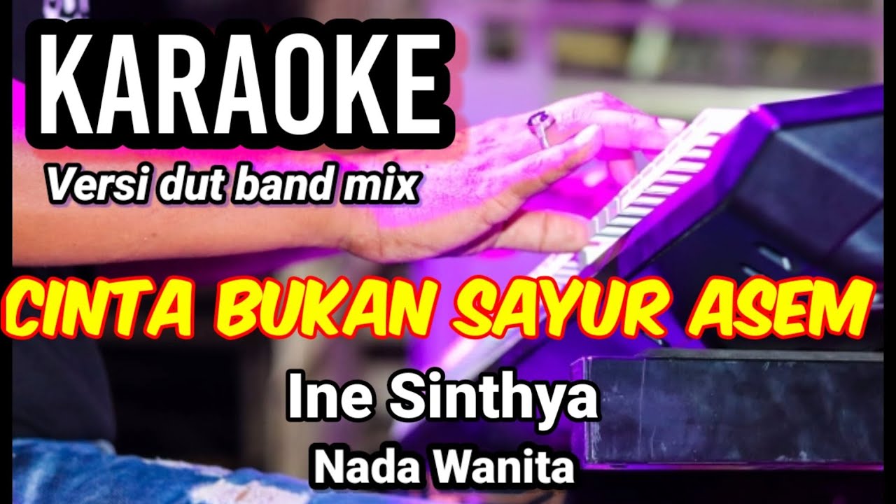 CINTA BUKAN SAYUR ASEM - Ine Sinthya | Karaoke dut band mix nada wanita | Lirik