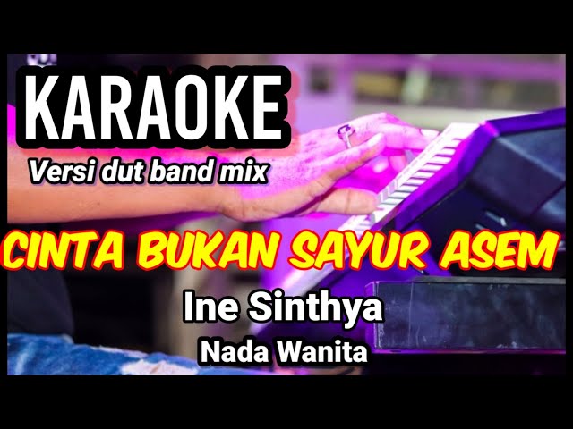 CINTA BUKAN SAYUR ASEM - Ine Sinthya | Karaoke dut band mix nada wanita | Lirik class=