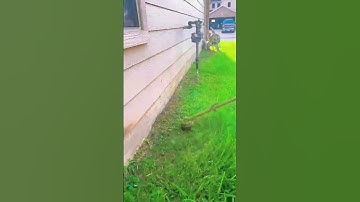 Lawn edging process part 24 | how to edge around trees safely