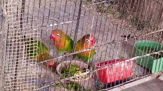 soft food today June 14, 2022 screenshot 5