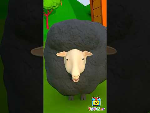 Baa Baa Black Sheep Song Nursery Rhymes Kids Songs YippiBox Nurseryrhymes Childrensongs 
