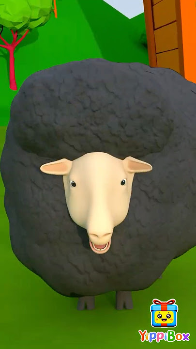 Baa Baa Black Sheep Song | Nursery Rhymes & Kids Songs | YippiBox #nurseryrhymes #childrensongs