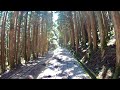 【Alishan Forest Railway】The Train Cab Ride View (第二分道-祝山)