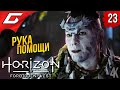 КОТАЛЛО и АДСКАЯ ГОНКА ➤ Horizon 2: Forbidden West / Запретный Запад ◉ Прохождение #23