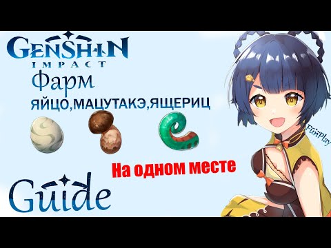 Genshin Impact ► ФАРМ ЯИЦ, МАЦУТАКЭ, ХВОСТ ЯЩЕРИЦЫ НА ОДНОМ МЕСТЕ [Guide]