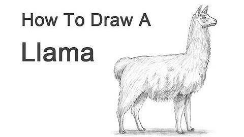 How to Draw a Llama