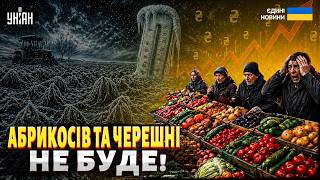 ‼️Ціни на ринках злетять до небес! Аномальні заморозки нищать український врожай. Фермери у відчаї
