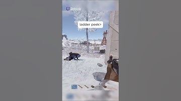 Ladder Peek 🗿#rust #shorts