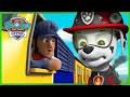 Marshall y Chase de Rescate máximo salva Adventure Bay - PAW Patrol Episodio Español - Pup Tales