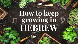 How to Keep Growing in Hebrew if You’ve Reached the End of Our Videos screenshot 5