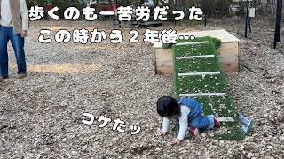 【嘘だろw】２年前まで狂犬に馬鹿にされてた赤ちゃんでしたがすっかり立場が逆転しちゃいました笑｜グレートピレニーズ&amp;オールドイングリッシュシープドッグ&amp;トイプードル