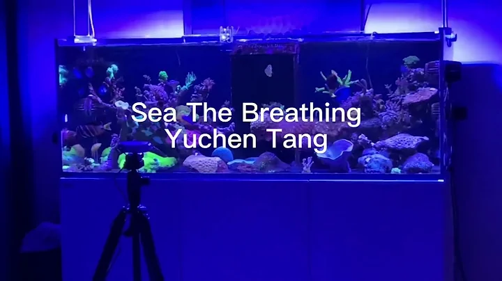 Sea The Breathing