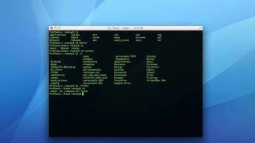 Using Command Line to Empty Mac Trash Bin