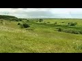 Что такое луг Что такое луг