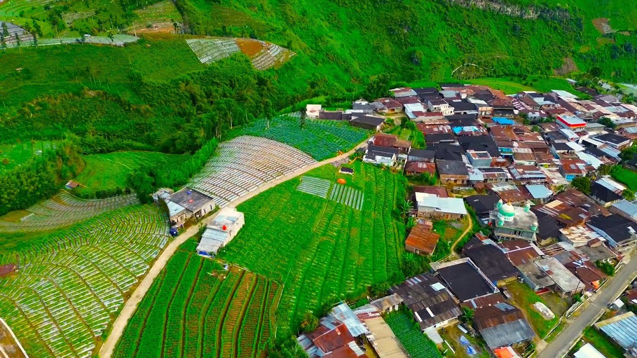 SE-ISTIMEWA INI DESANYA SAHABAT KITA DI JAMBI ❗, SPESIAL REQUEST PENONTON, DESA CEMORO, WONOBOYO