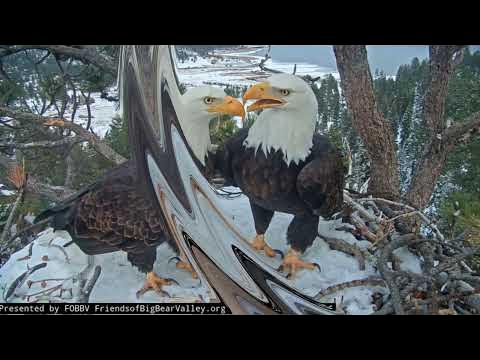 Another day over Big Bear Bald Eagle Live Nest Cam / Big Bear Bald
