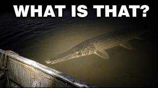 14 Deadliest Creatures In The Ohio River That Are Closer To Cities Than You Think