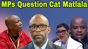 Cat Matlala testifies at the Ad Hoc Committee. DAY 2