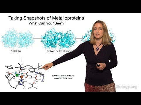 Catherine Drennan (MIT/HHMI) Part 1: Introduction to Metalloproteins