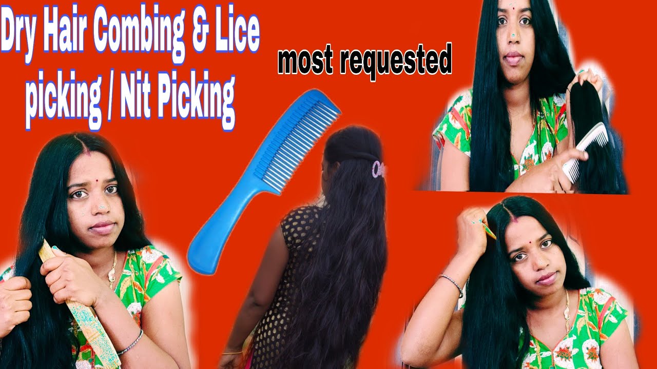 Dry Hair Combing Nitpicking/Lice piciking without oil combing to