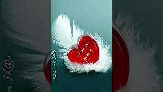 HEART ♥️ GIF. IMAGE animated=My Simple Pleasure =