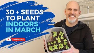 Seeds to Plant Indoors in March