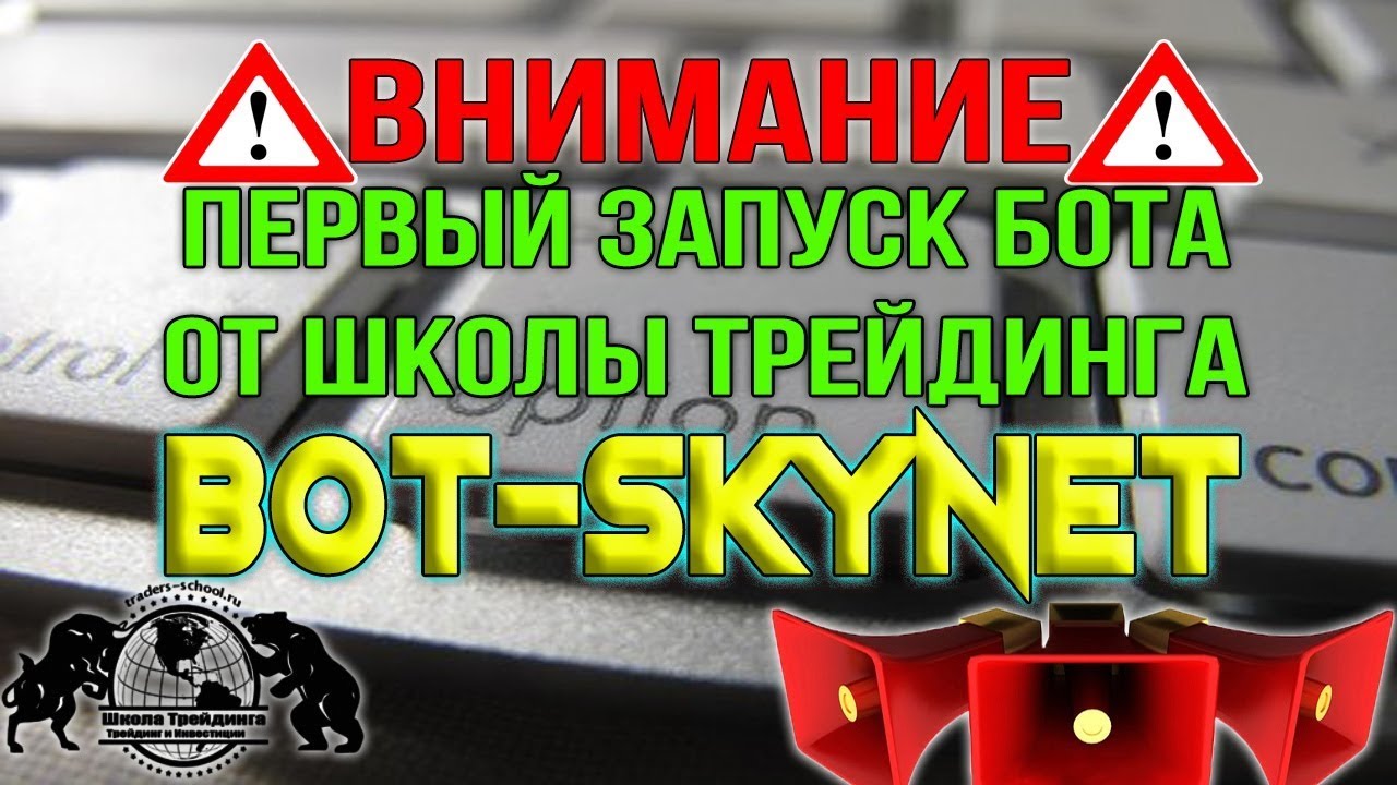 Первый Запуск бота от Школы Трейдинга. Bot SkyNet.