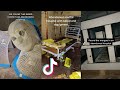 Abandoned Hospitals with EVERYTHING Left behind | Are you Brave Enough? |TikTok Compilation #1