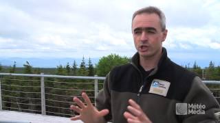 Astronomie Tout Savoir Sur Les Perséides 2017