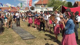 De L&A-band uit Poperinge zorgde voor de sfeer op Dranouter Festival 2016.