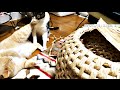 猫の喧嘩！猫ちぐらを取り合う戦い；猫おもしろ動画
