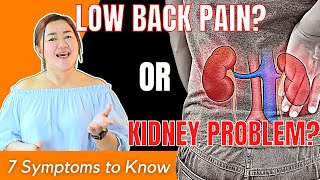 Kidney Problems can cause Low Back Pain! Know the 7 symptoms | Doc Cherry