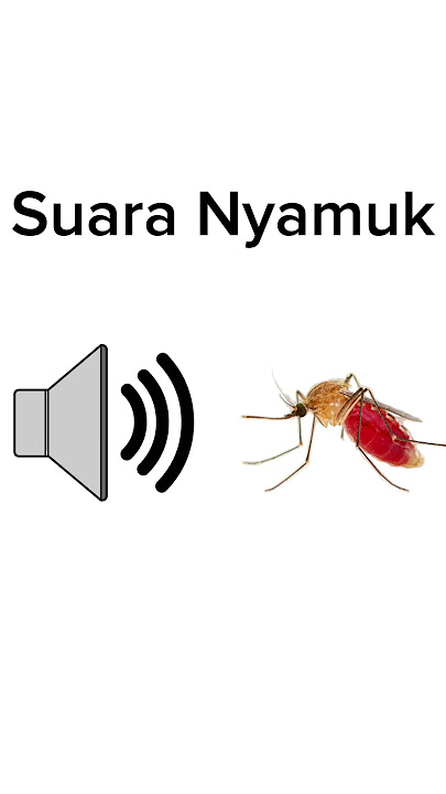 Suara Nyamuk Ganggu Orang Tidur#shorts