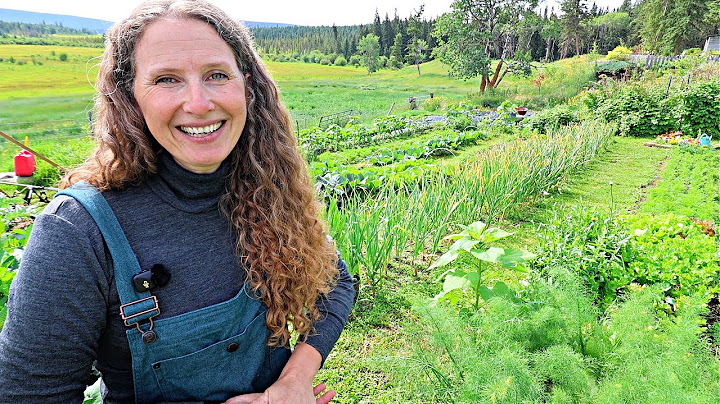 1/3 Acre Garden Tour | Whimsy, Abundance & Feeding Our Large Family for a Year